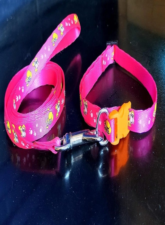D&C PAWS Nylon Printed Collar and Leash Set for Puppies, Small Dogs, and Cats - 10mm Adjustable Collar with Leash, Pack of 5 Pieces, Perfect for Training and Walks - Image 3